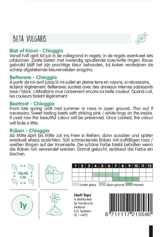 Rødbete Chioggia -Frø-