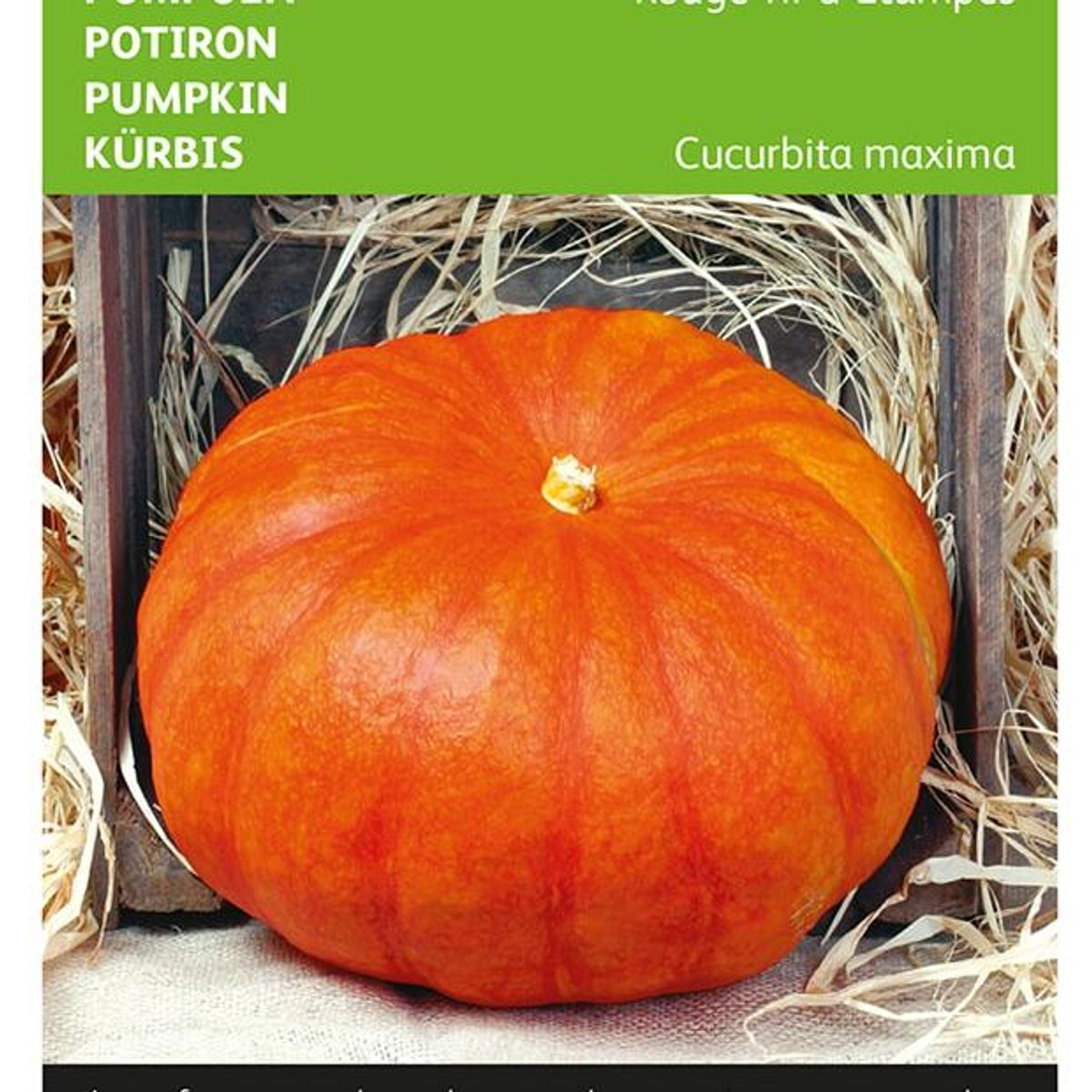 Gresskar, Rouge vif dEtampes -Frø-