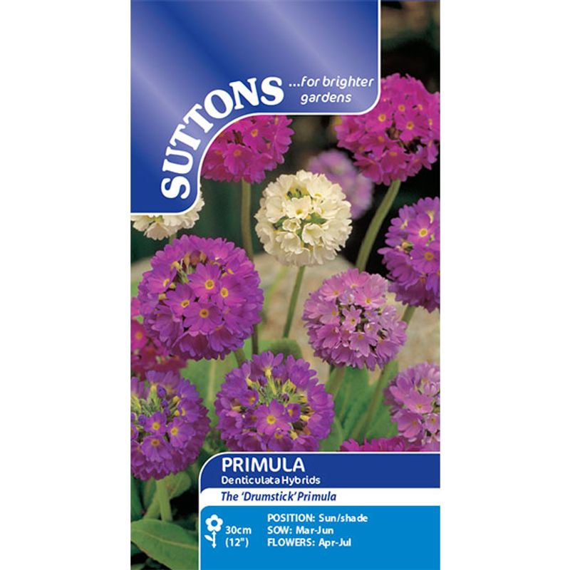 Primula denticulata mix -Frø- Kuleprimula