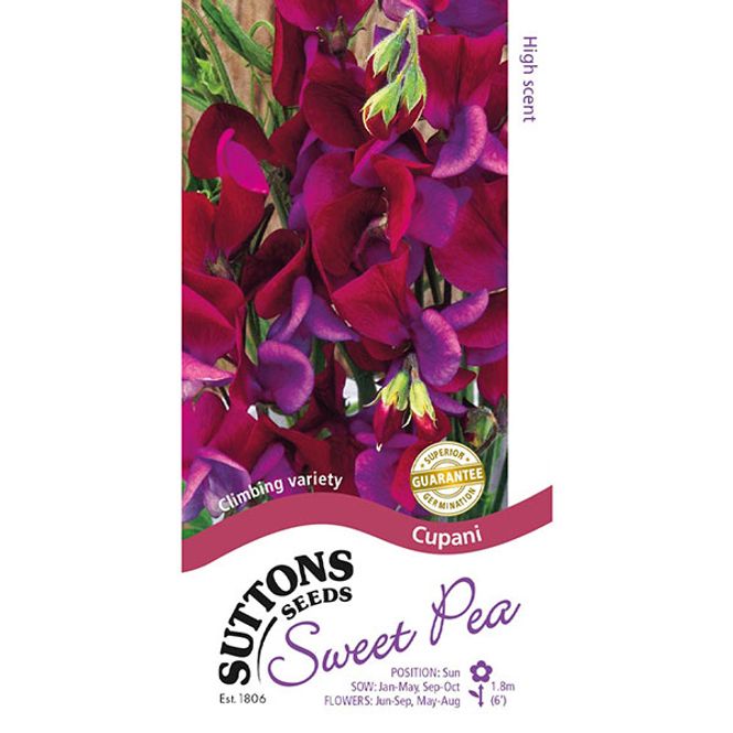 Hovedbilde Lathyrus Cupani - Frø - Blomsterert