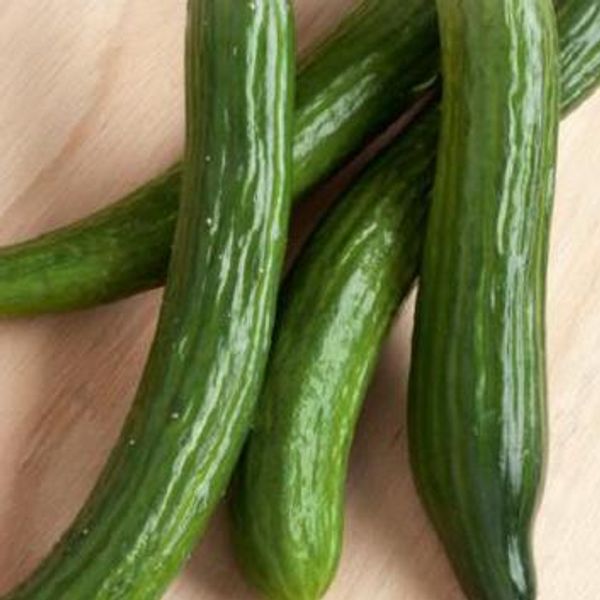 Hovedbilde Agurk Chinese Snake -Frø -