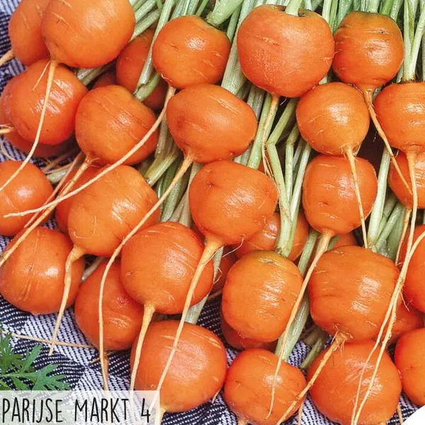 Hovedbilde Gulrot Paris Market 4 -Frø-