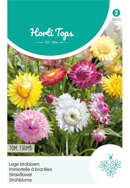 Hovedbilde Helichrysum Bract. Tom Thumb Mix. Stråblom -Frø-