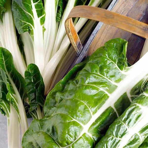 Hovedbilde Bladbete/Mangold White Silver -Frø-