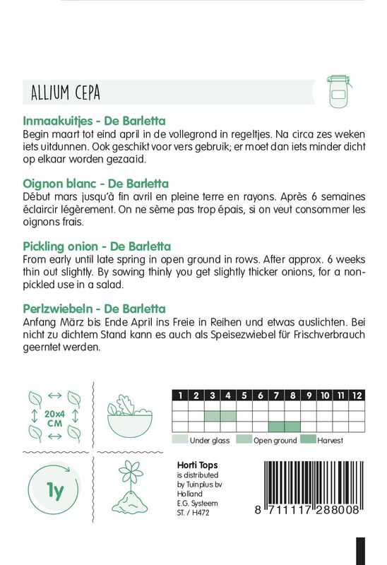 Løk White Pickling Barletta -Frø-