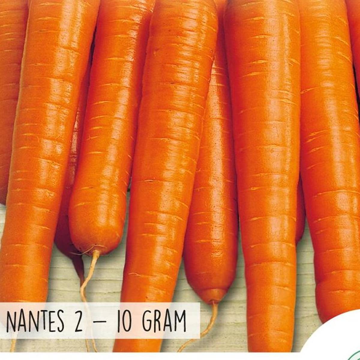 Gulrot Nantes 2 -Frø-