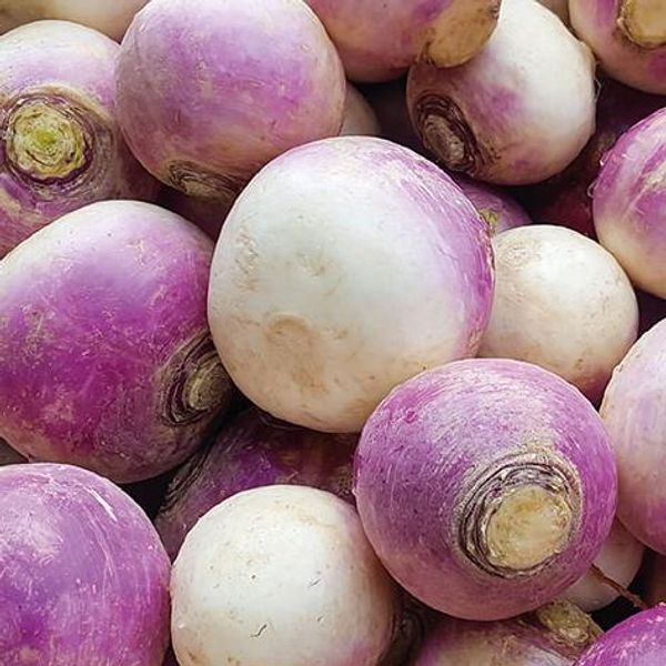 Hovedbilde Nepe, De Nancy -Frø-