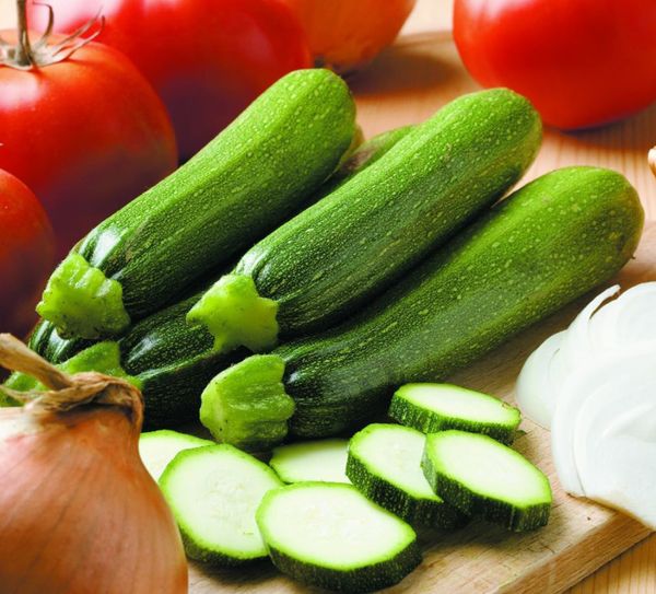 Hovedbilde Squash Defender F1 hybrid -Frø-