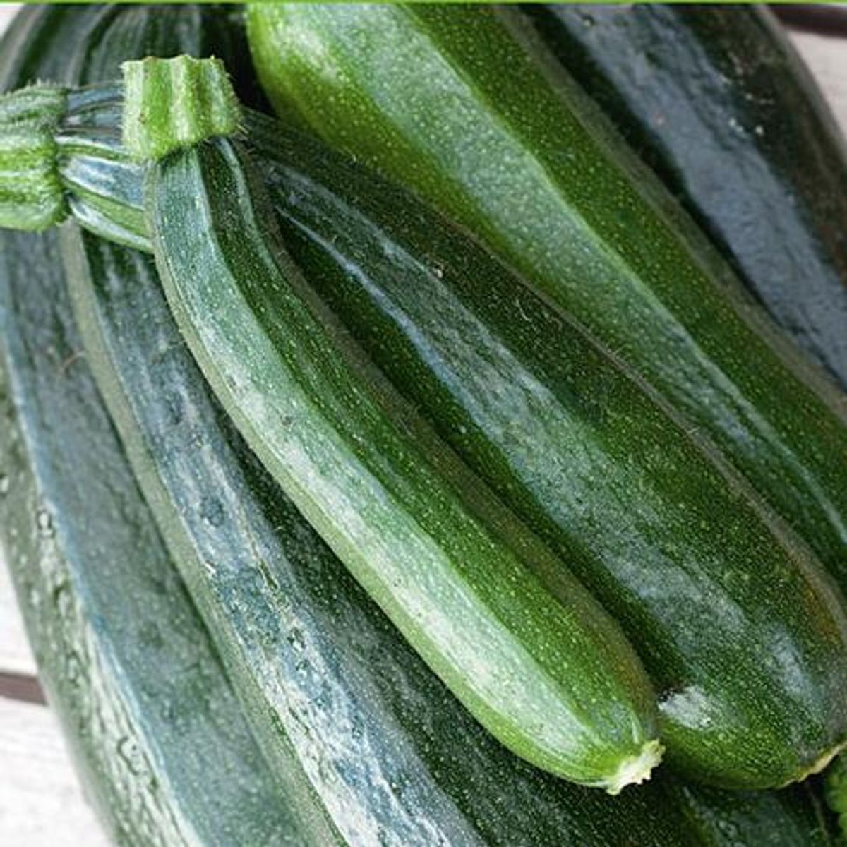 Squash Black Beauty -Frø-