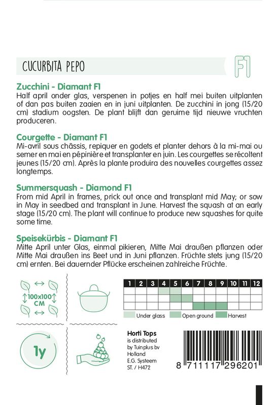 Squash Courgette Diamant F1- Sommersquash -Frø-