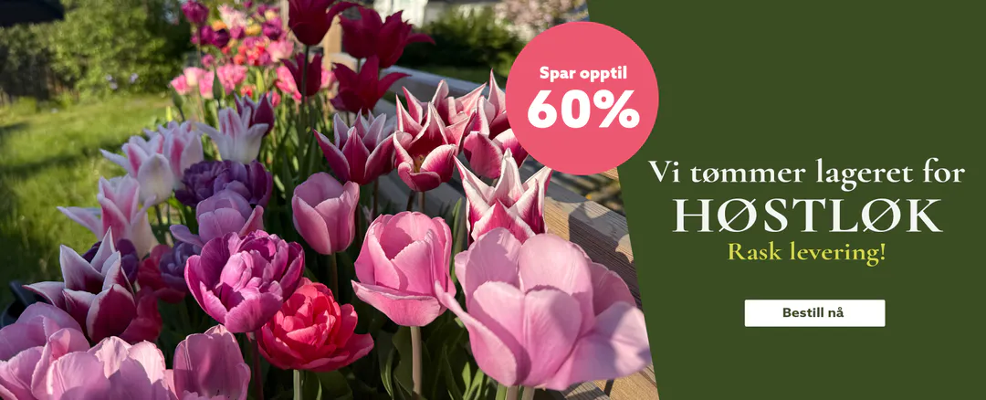 Bestill høstløk på nett