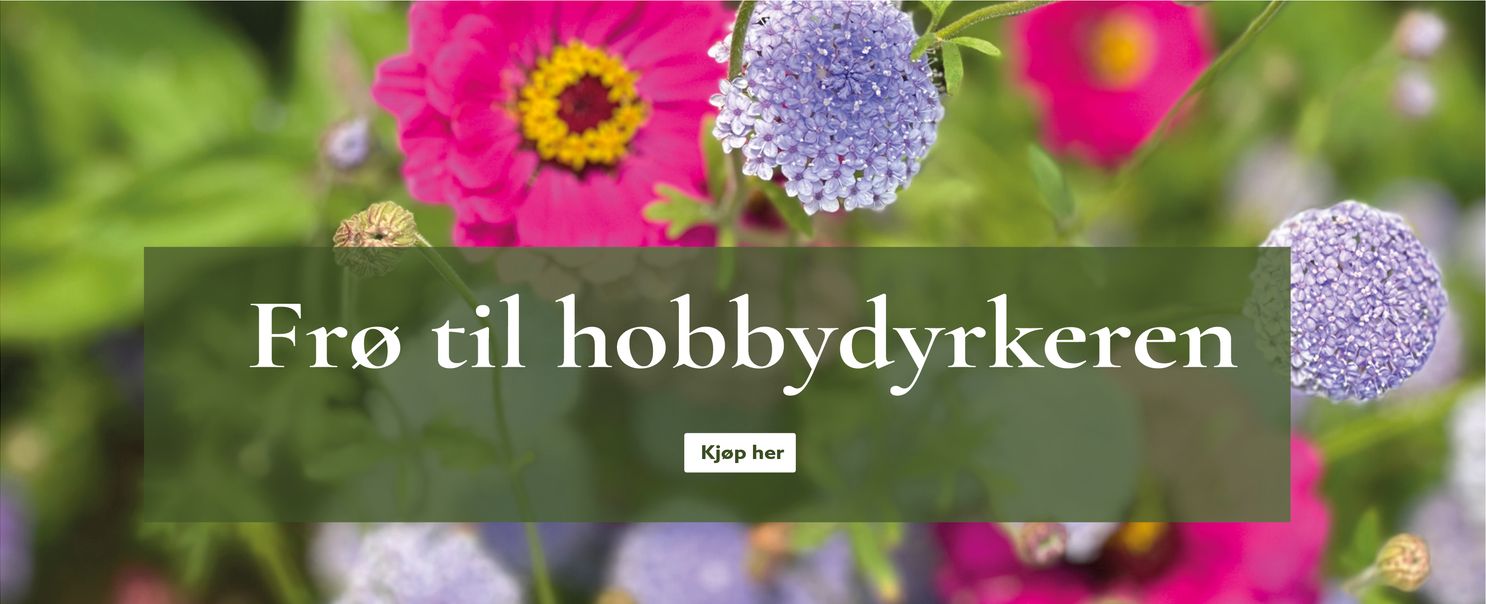 Frø til hobbydyrkeren - Se vårt unike utvalg av frø på nett