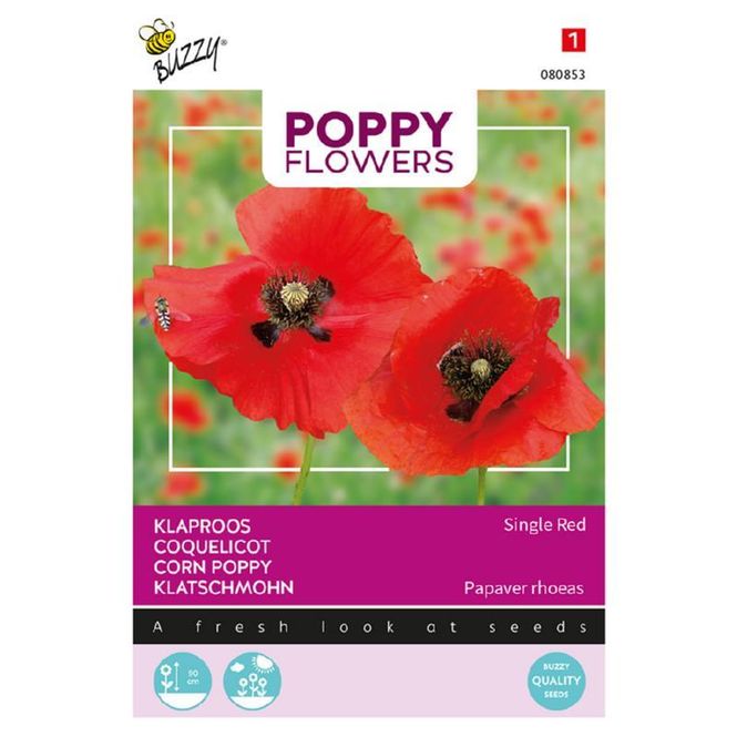 Hovedbilde Papaver roheas. Valmue - Frø -
