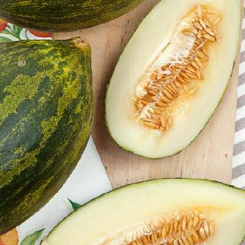 Melon, Piel De Sapo -Frø-